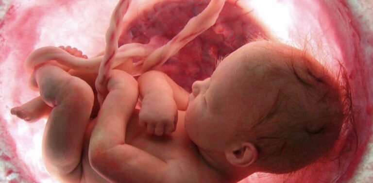 Prachtige video laat zwangerschap van 9 maanden in slechts 4 minuten zien